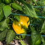 Farma Cascina Veja Chiusa di Pesio