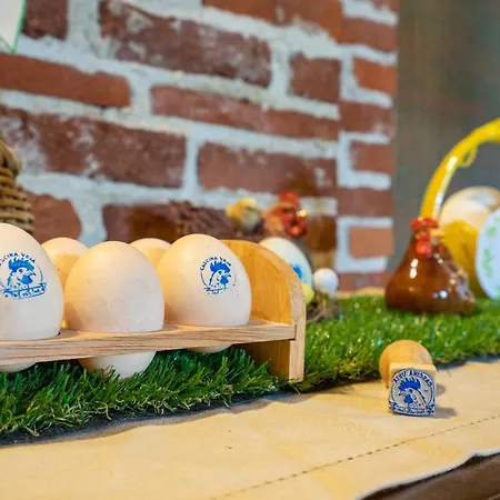 Cascina Veja 팜스테이 치우스디노