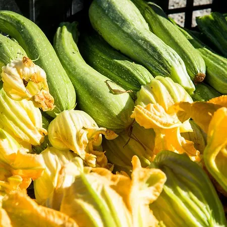 Cascina Veja 치우스디노