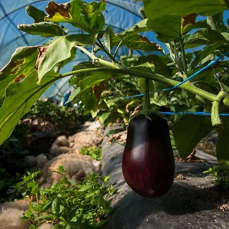 Cascina Veja Chiusa di Pesio